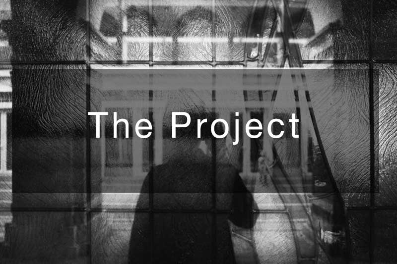 The-Human-Error-Project--The-Project The Human Error Project - The Project